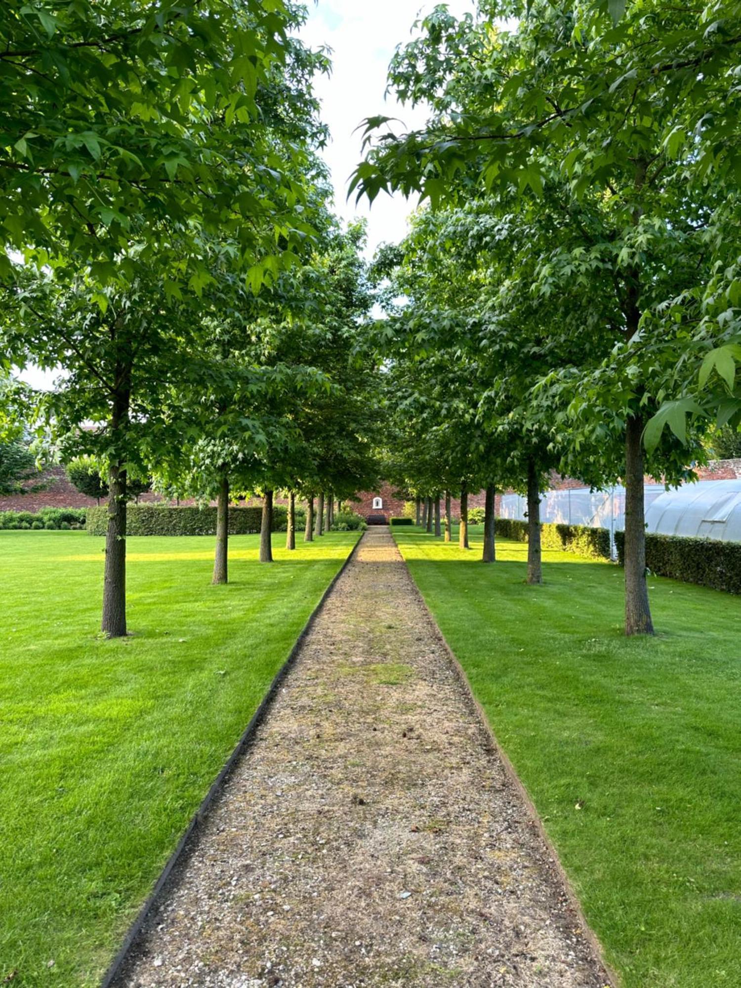 B&B Maria Hart Weert Exteriér fotografie